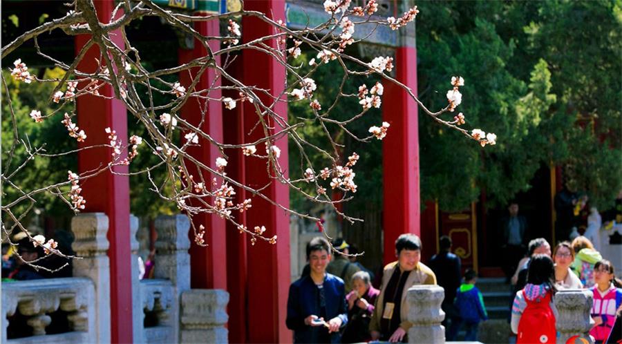 Spring scenery of Beijing
