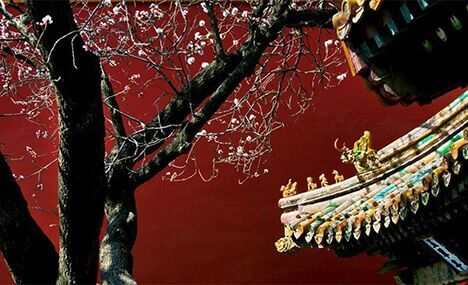 Spring scenery of Beijing