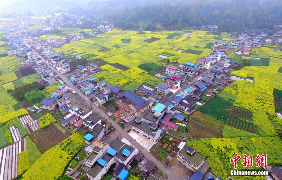 Recovery and resilience - Lushan three years after quake