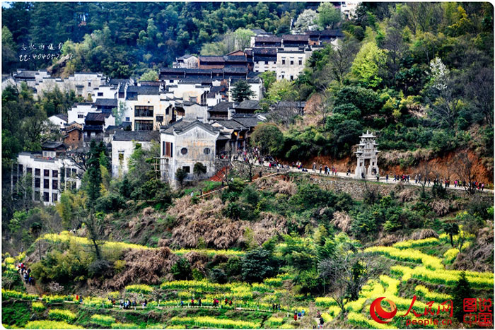 Scenery of rape blossoms in terraced fields in Jiangxi
