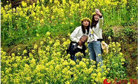 Scenery of rape blossoms in terraced fields in Jiangxi