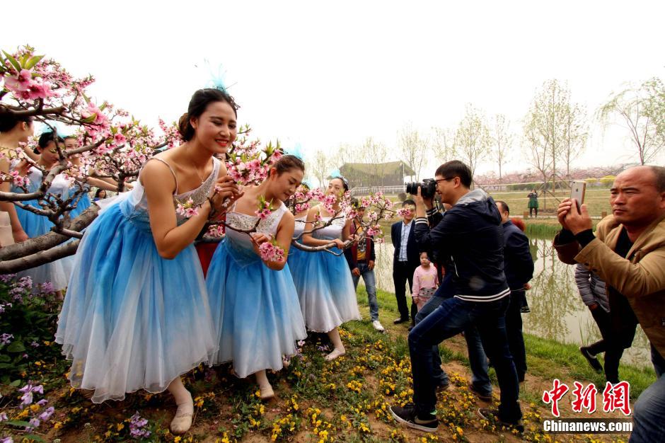 Intoxicating view: Sea of peach flowers and flower fairies