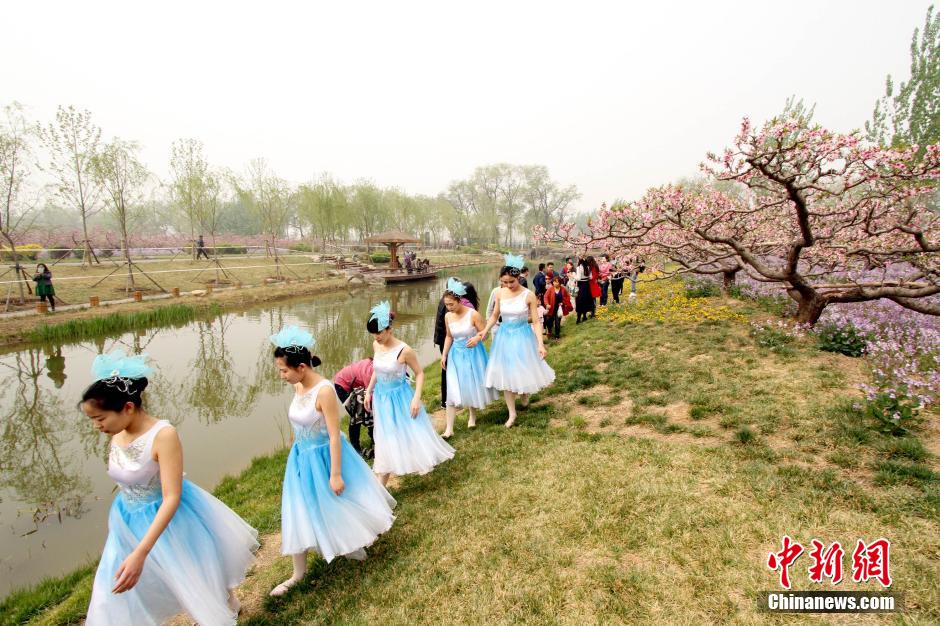 Intoxicating view: Sea of peach flowers and flower fairies