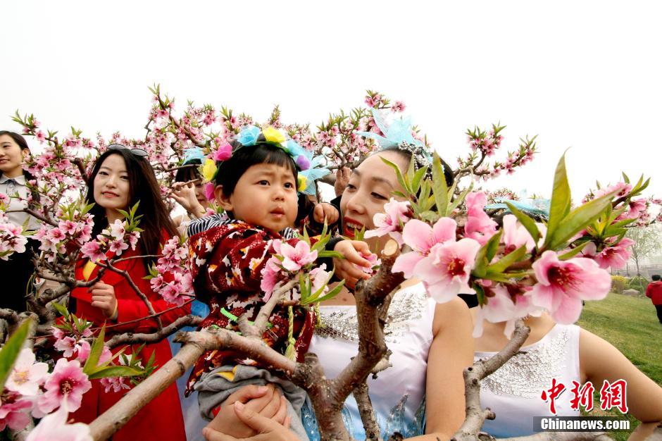 Intoxicating view: Sea of peach flowers and flower fairies