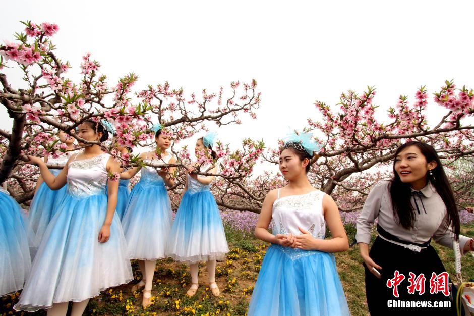 Intoxicating view: Sea of peach flowers and flower fairies