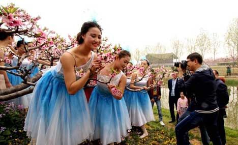 Sea of peach flowers and flower fairies