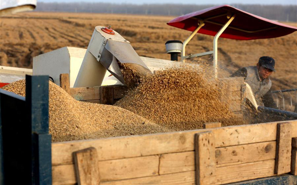 Commentary: Chinese agricultural espionage is 'pure fabrication'