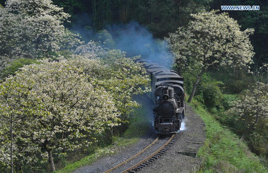 Steam train in SW China keeps operation, boosts tourism 