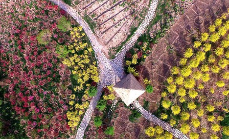 In pics: aerial view of Tianjin's country park