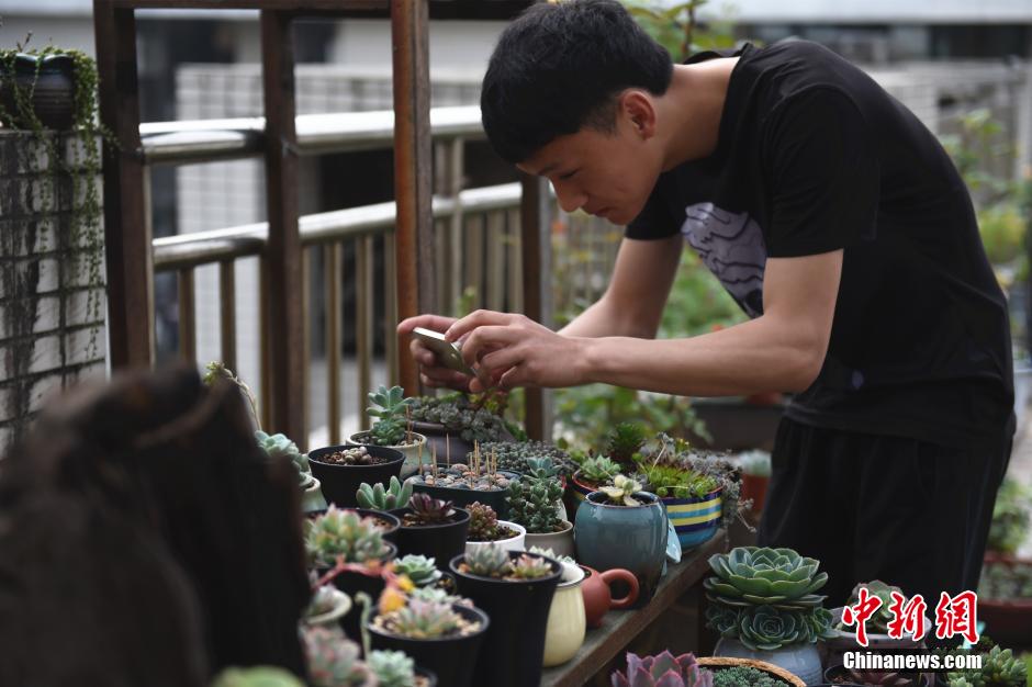 College student plants succulent in creative flower pots