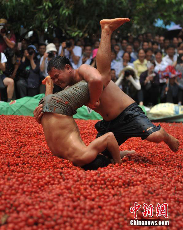 Zhuang people wrestle in pool of cherry tomatoes
