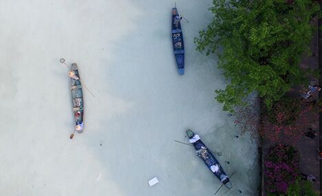 Workers "bleach" West Lake in Hangzhou 