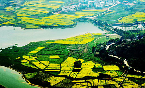 Millions visit charming forested area in East China