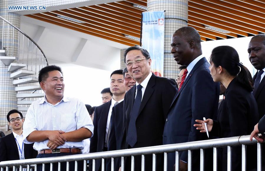 China's top political advisor visits Cote d'Ivoire to boost ties