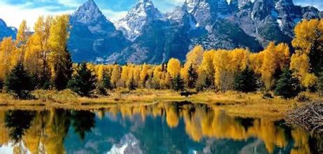  Xinjiang city bets on fighting fowl to woo tourists