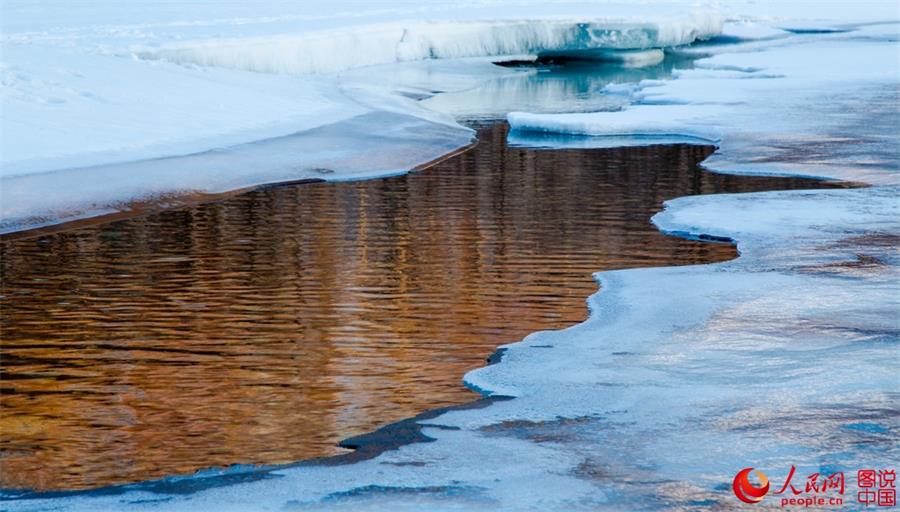 Beautiful scenery of red willows in Greater Hinggan Mountain