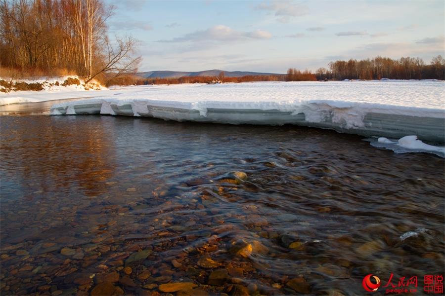 Beautiful scenery of red willows in Greater Hinggan Mountain