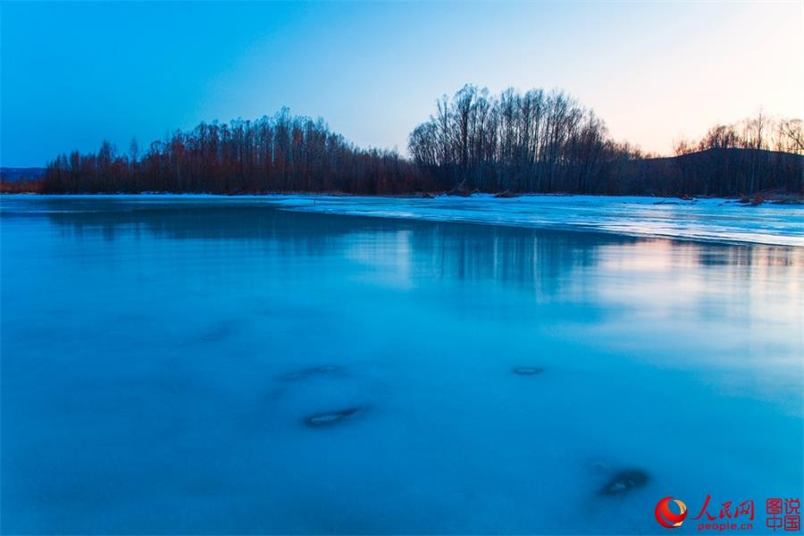 Beautiful scenery of red willows in Greater Hinggan Mountain