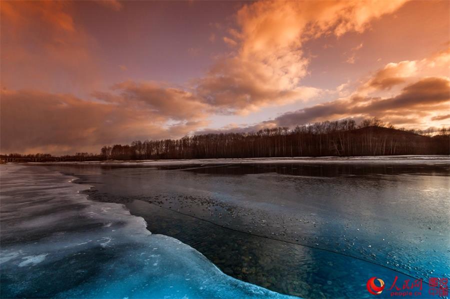Beautiful scenery of red willows in Greater Hinggan Mountain