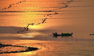 Splendid morning glow of Xiapu