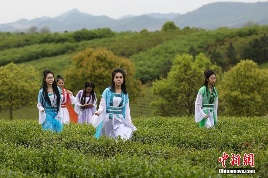 At tea garden: When eastern girls meet western beauties