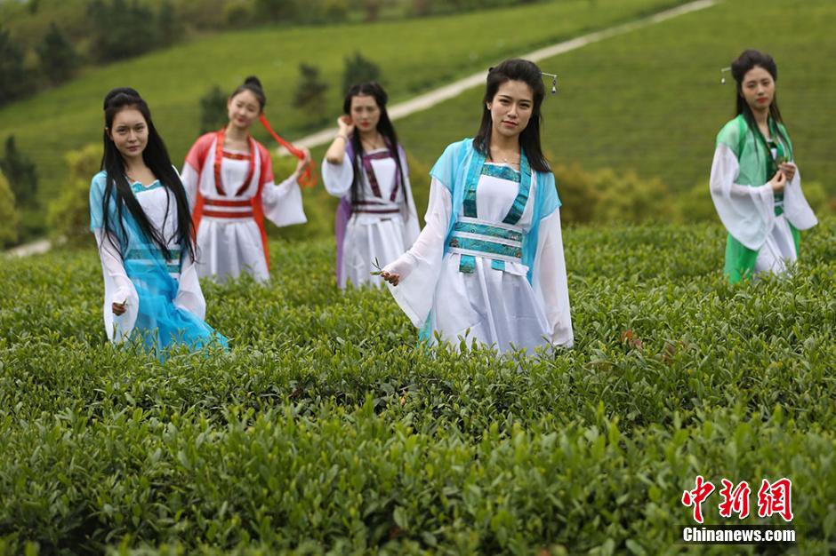 At tea garden: When eastern girls meet western beauties