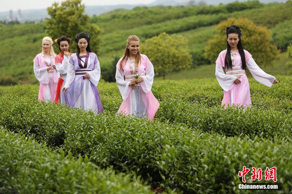 At tea garden: When eastern girls meet western beauties
