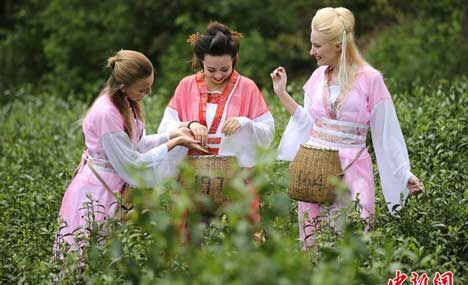 At tea garden: When eastern girls meet western beauties