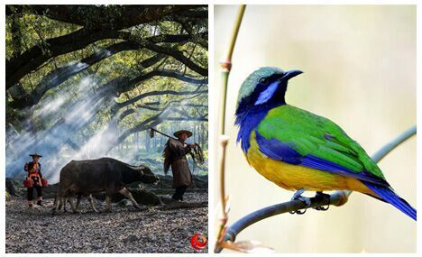 Spring scenery of Xiapu, SE China's Fujian