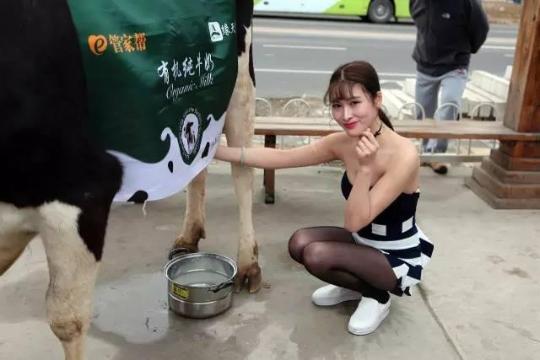 Woman Milked Like A Cow