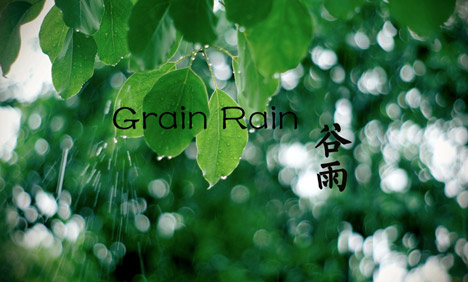 Five things you may not know about Grain Rain