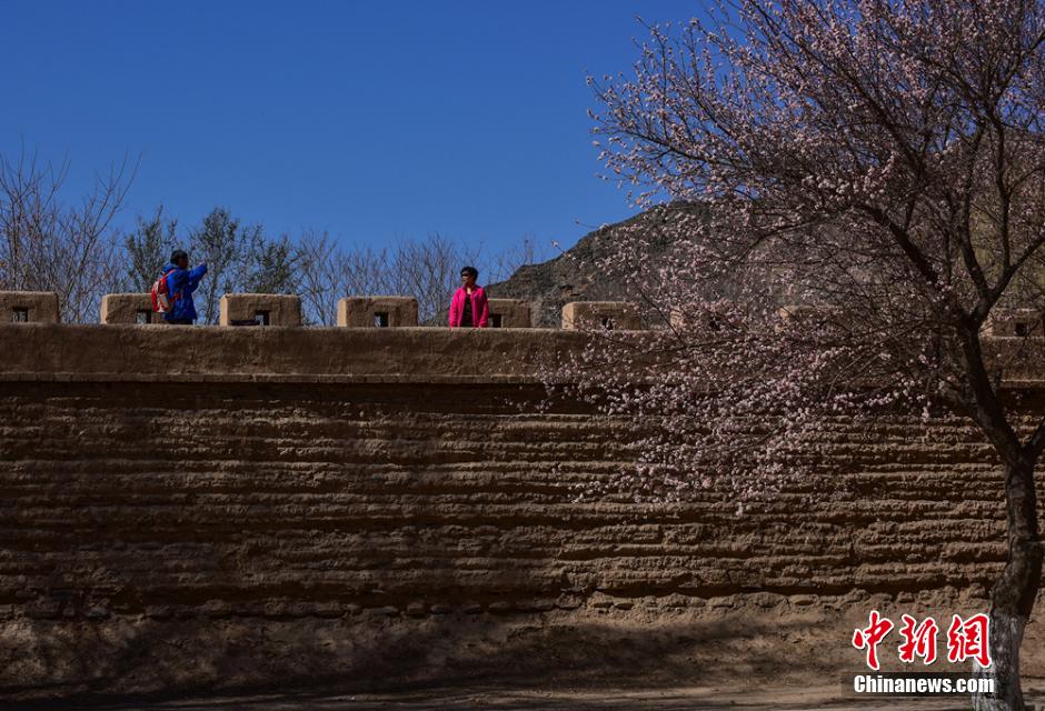 Soak in the spring scenery at Jiayuguan Pass