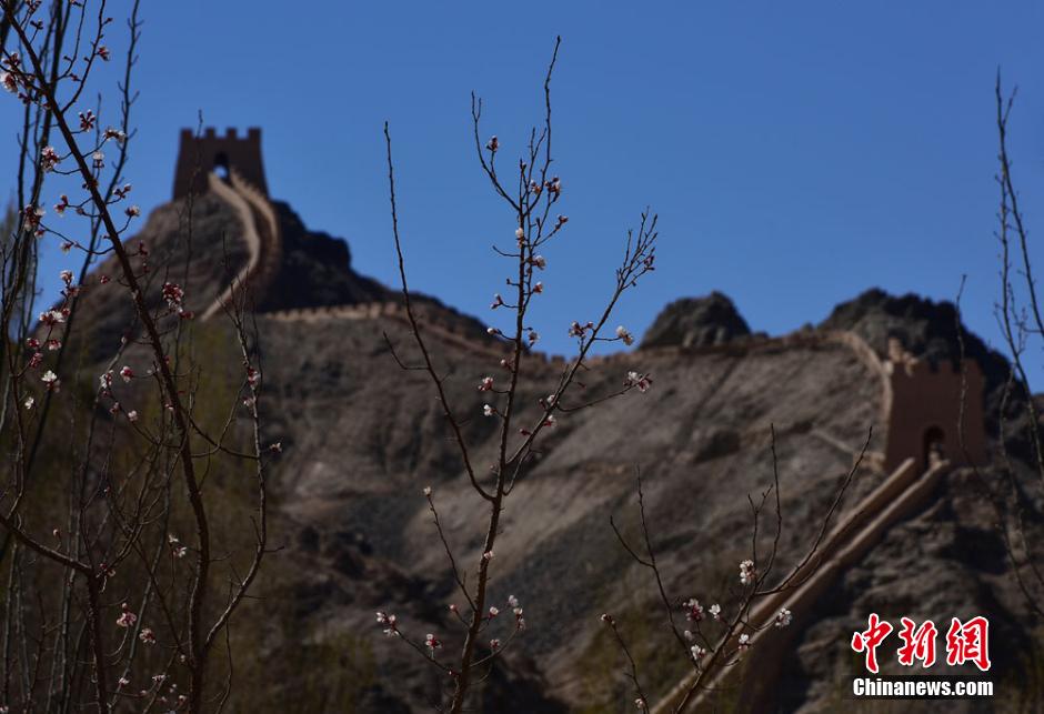 Soak in the spring scenery at Jiayuguan Pass