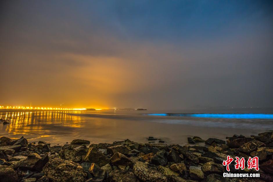 Marine microbes turn sea water glowing blue