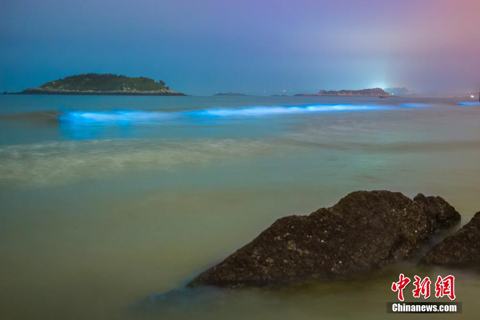 Marine microbes turn sea water glowing blue