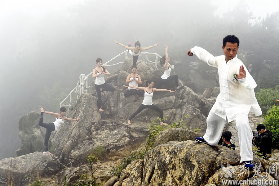 Which would you choose to have a healthier lifestyle: Yoga or Tai Chi?
