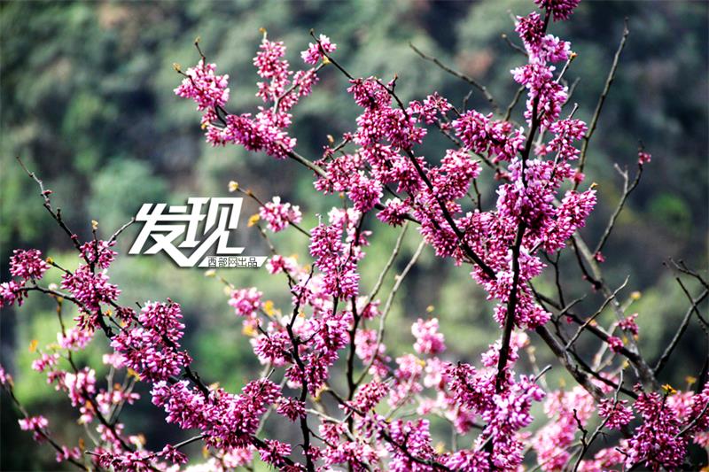Beautiful scenery of Xunyang county in Shaanxi province