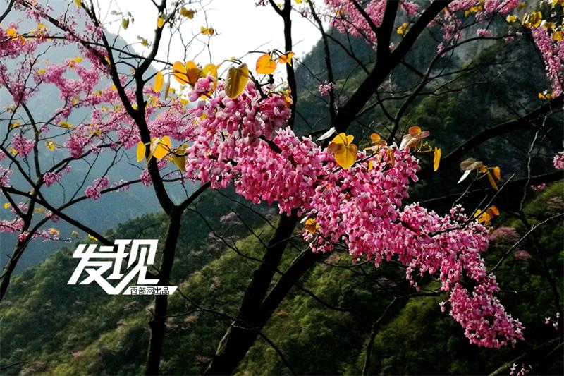 Beautiful scenery of Xunyang county in Shaanxi province