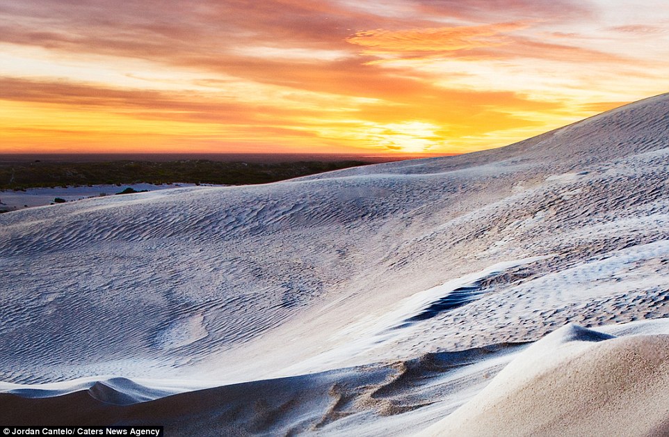 Another Earth: Stunning photos capture Australia's other-worldly 'Ice Cream Dunes' where the sand is so pale it looks like snow