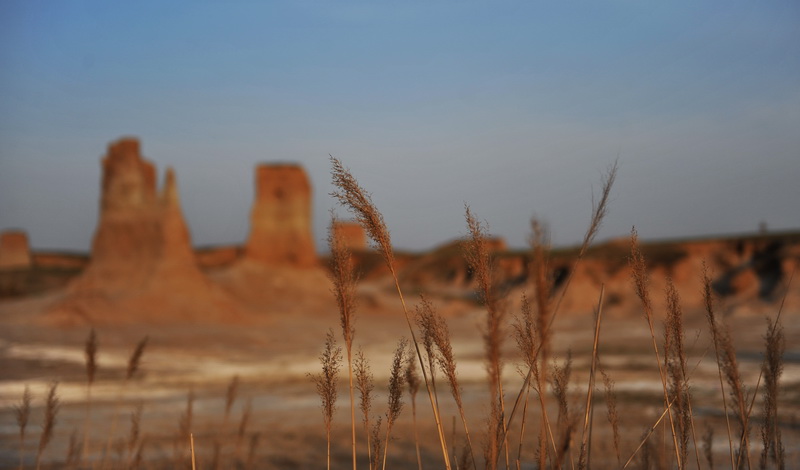 Unique scenery of earth forest in Datong