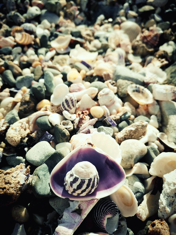 Milky Way over Woolgoolga in Australia
