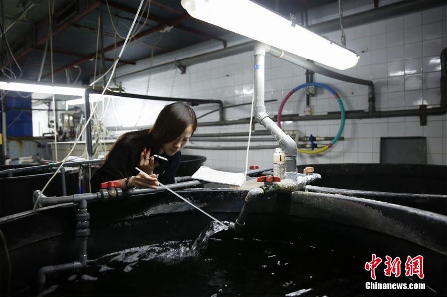 A day in the life of 2 ‘mermaid practitioners’
