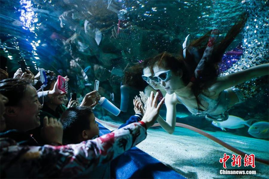 A day in the life of 2 ‘mermaid practitioners’