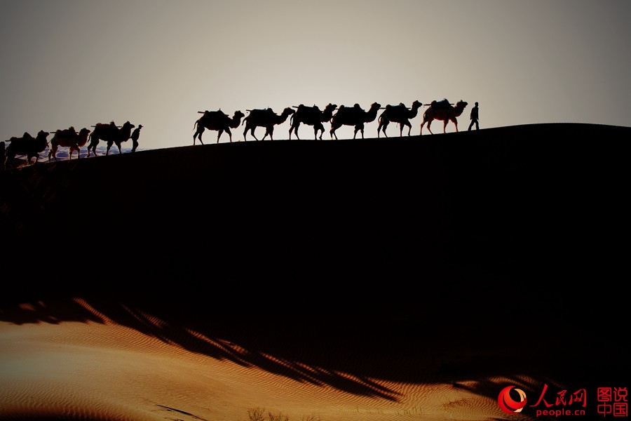 When camel bells ring in Tengger Desert 
