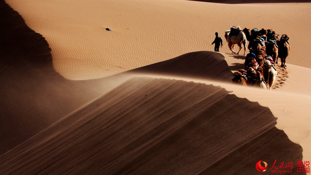 When camel bells ring in Tengger Desert 