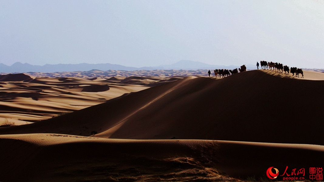 When camel bells ring in Tengger Desert 