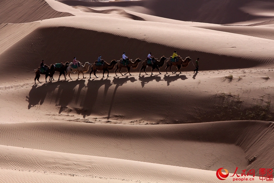 When camel bells ring in Tengger Desert 