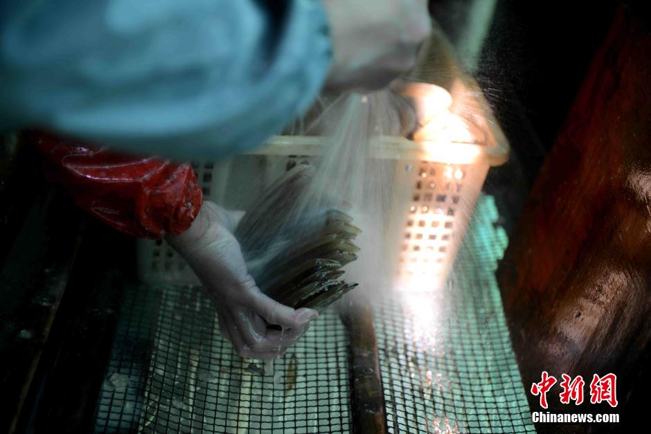 Production process of hand-made horn combs in Fuzhou