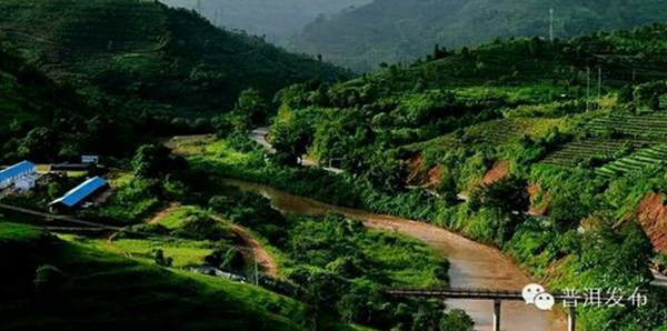 Work Begins in Pu'er on the Construction of China's First Rainforest Ecologically-friendly Modern-agriculture Coffee Plantation