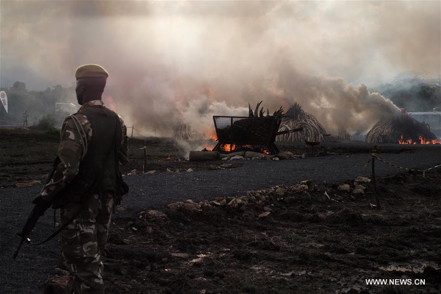 Tons of ivory, rhino horn torched in Kenya